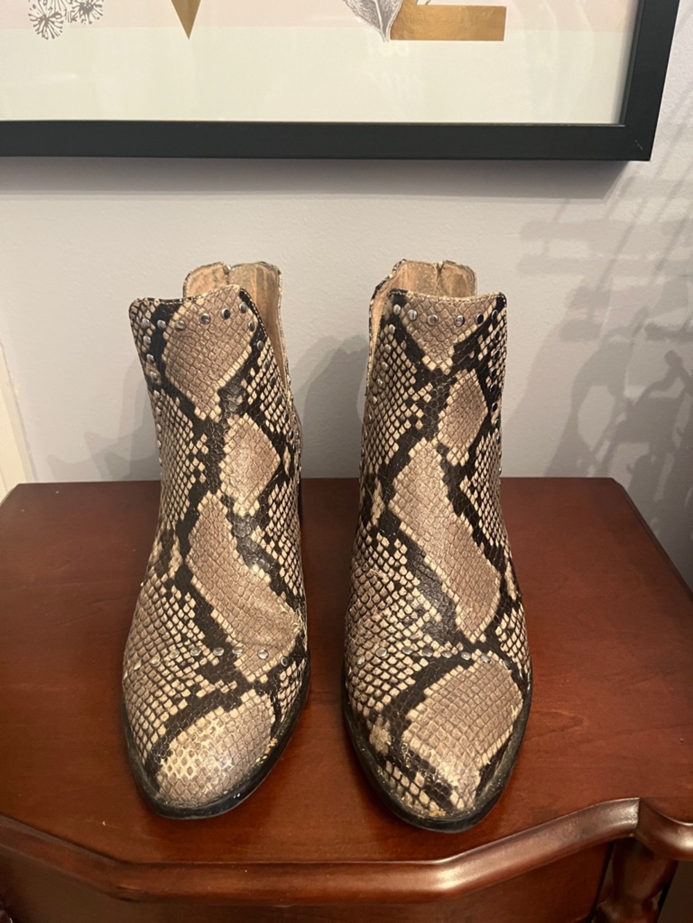 Steve Madden Snake-Print Ankle Boots in Beige and Black